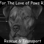 For The Love of Paws RI