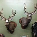 Timberwolf Taxidermy - Taxidermists