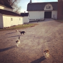 Buckley Homestead County Park - Parks