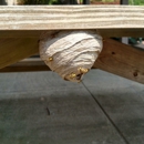 The Bee Man LLC