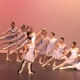 Ballet San Antonio Academy