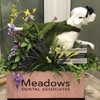 MEADOWS DENTAL ASSOICATES DMD gallery