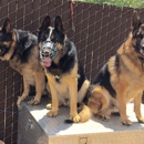 AAA Guard Dog Rental & Sales - Guard Dogs