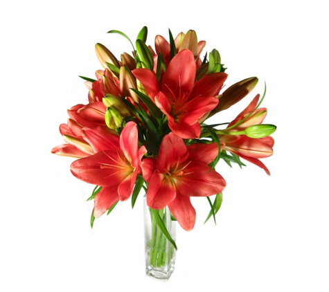 Flowers Across Melbourne - Preston, VIC