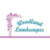 Woodland Landscapes gallery