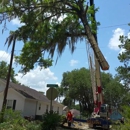 Valdosta Tree Service LLC
