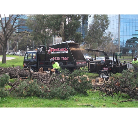 Redback Tree Services
