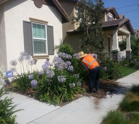 J C'S Tree Service - Riverside, CA