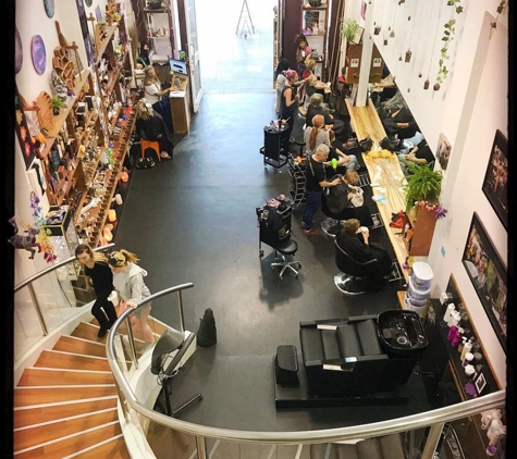 Chameleon New Age Salon - Surfers Paradise, QLD. Amazing hair salon plus so much more