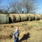 Ditmars Orchard