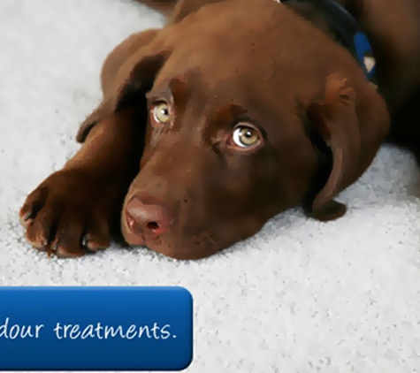 ALL CLASS - Binjura, NSW. Urine & Odour Treatments