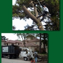 Quality Tree Specialist - Landscaping & Lawn Services
