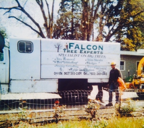 Falcon Tree Experts - Keizer, OR