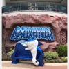 Downtown Aquarium gallery