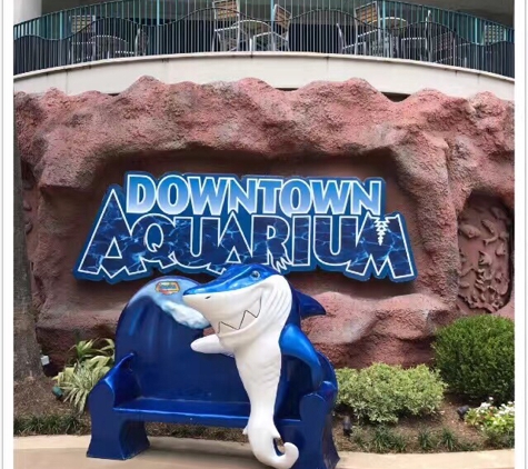 The Downtown Aquarium - Houston, TX