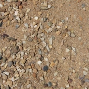 Gallery Image Number 4