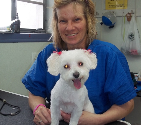 Best Friends Pet Care - Clinton Township, MI