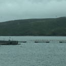 Lawson's Landing - Tourist Information & Attractions