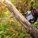 The Davey Tree Expert Company - Tree Service