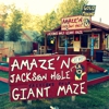 Amaze'n Jackson Hole gallery