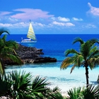 The Art of Travel