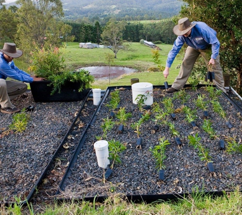 Ecoteam - Lismore, NSW