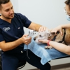 Veterinary Eye Center of New York City - Hell's Kitchen gallery