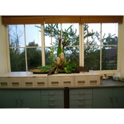Gallery Image Number 6