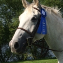 Providence Equestrian Center - Stables