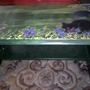 HAND PAINTED FURNITURE