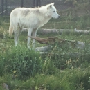 Grizzly & Wolf Discovery Center - Nature Centers