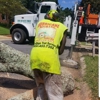 Tri-State Tree Service gallery