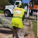 Tri-State Tree Service - Tree Service