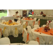 Gallery Image Number 4
