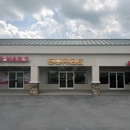 SURGE Staffing - Executive Search Consultants