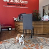 Matt Dill - State Farm Insurance Agent gallery