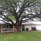 Centex Tree Solutions