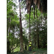 Gallery Image Number 2