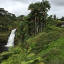 The Inn at Kulaniapia Falls - Bed & Breakfast & Inns
