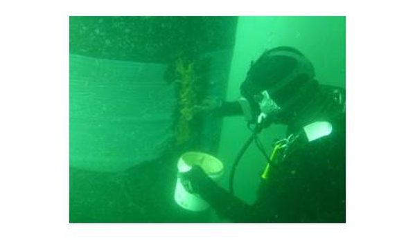 Rhino Dive Pty Ltd - Mount Low, QLD