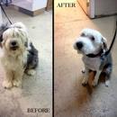The Groomer - Pet Services