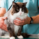 Forrest Veterinary Clinic - Veterinarians