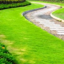 Healthy Lawn - Landscaping & Lawn Services