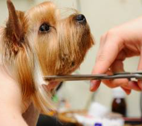 Trusted Tails Mobile Pet Grooming