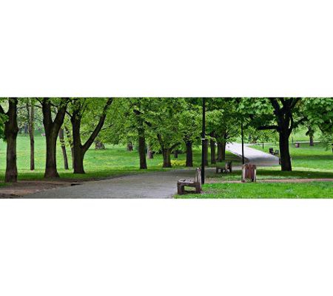 Abacus Tree Services - Hornsby, NSW