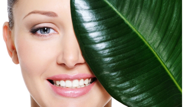 Van Der Walt Dental