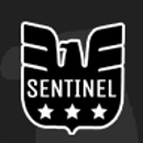Sentinel Security & Investigations Inc. - Security Guard & Patrol Service
