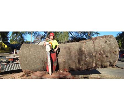Arboressence - Wangaratta, VIC