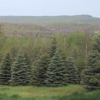 GreenTimber Consulting Foresters Inc gallery