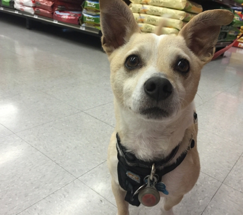 Pet Food Express - Castro Valley, CA